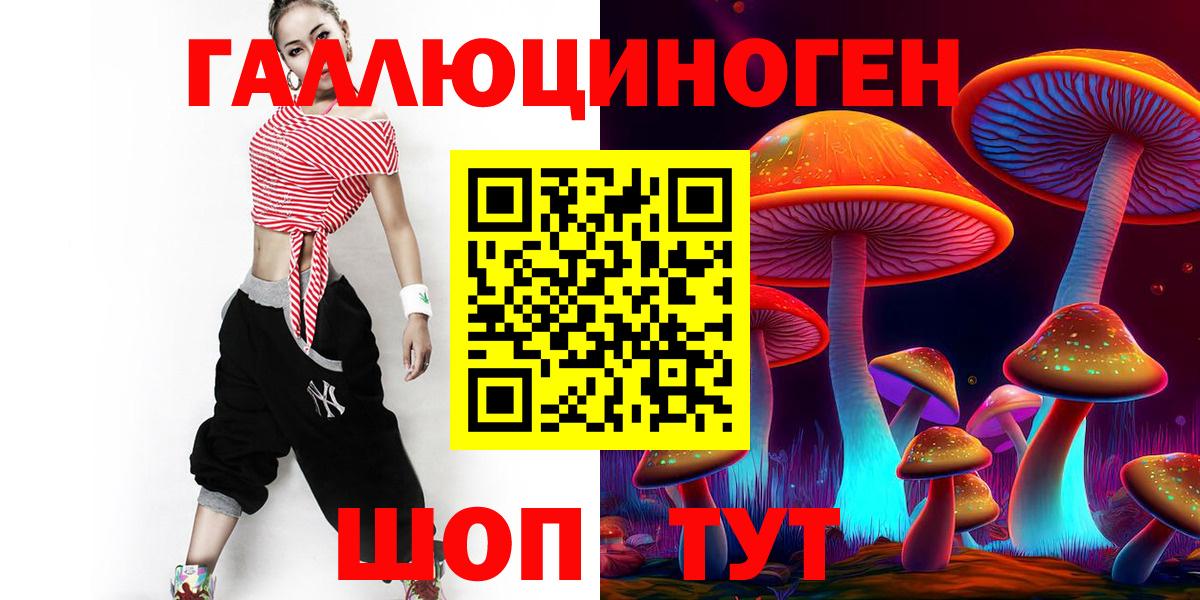 Псилоцибиновые грибы Psilocybe Пятигорск