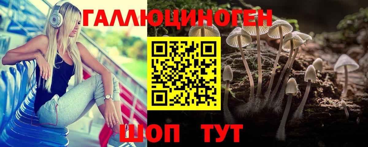 Пятигорск  что такое наркотик  Вход с VPN  Галлюциногенные грибы Cubensis 